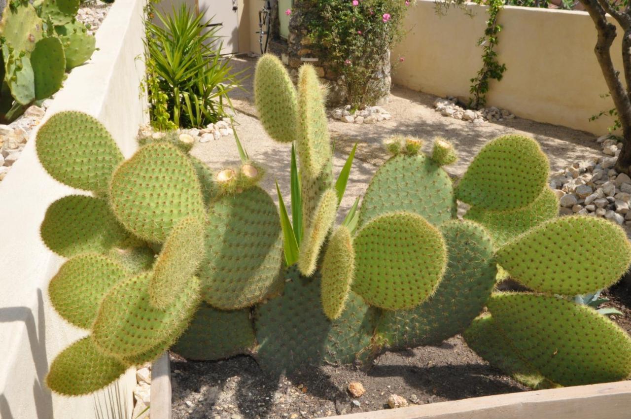 Les Terrasses De Hébergement de vacances *