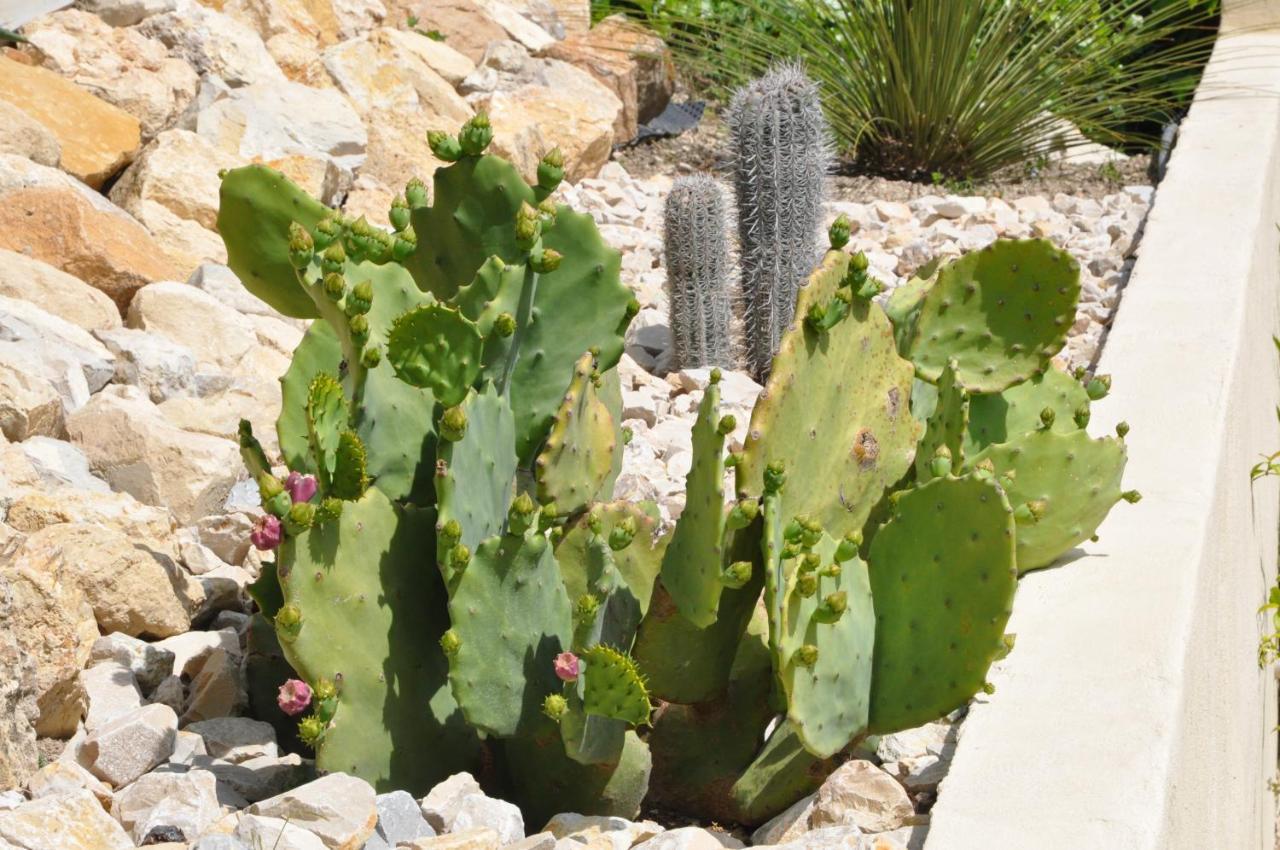 Hébergement de vacances Les Terrasses De